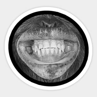 Smiling Face  | Happy Smile for Men or Women Sticker